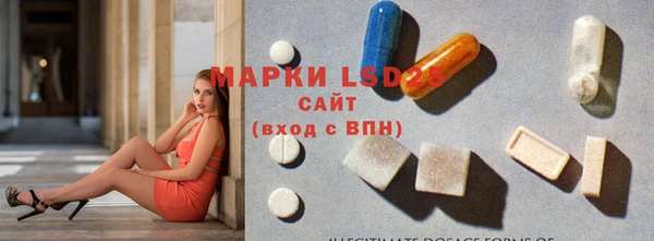 ешки Бородино