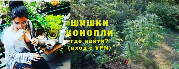 ешки Бородино