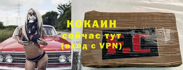 ешки Бородино