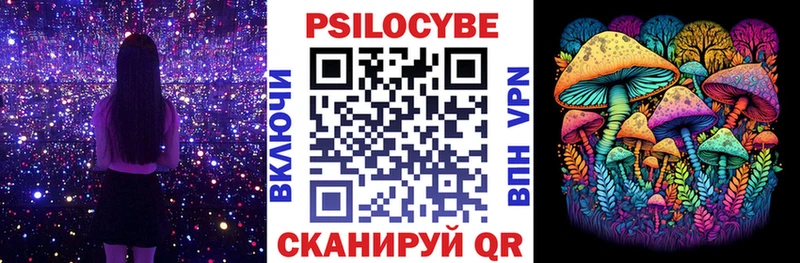 Псилоцибиновые грибы Psilocybine cubensis купить наркотики сайты Высоковск