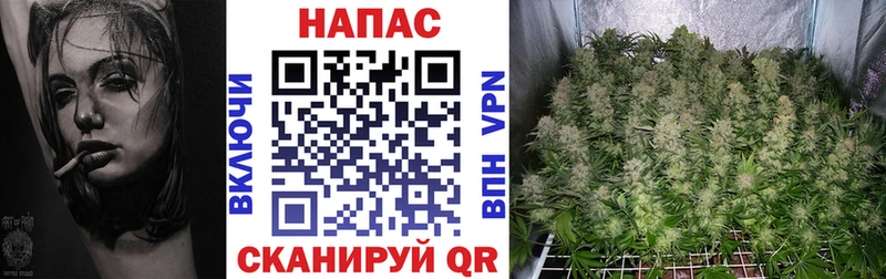 Шишки марихуана Ganja  Высоковск 